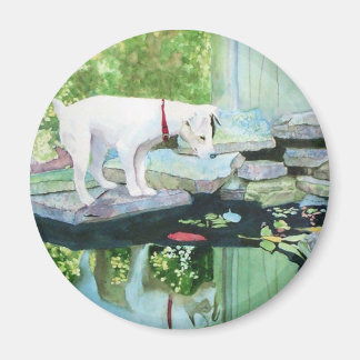 Imán Jack Russell Terrier #1 Magnet