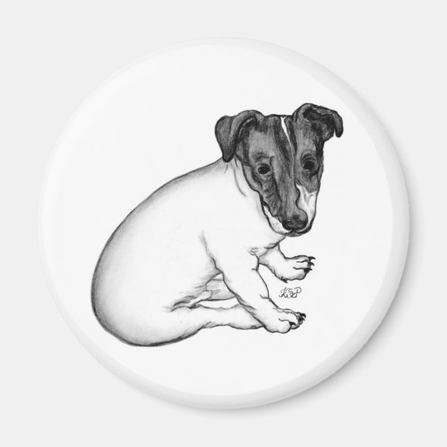 Imán Jack Russell Welpe 10 Wochen alt (Frente)