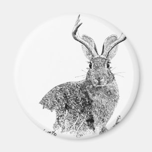 Imán Jackalope