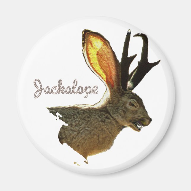 Imán Jackalope (Frente)