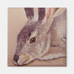 Imán Jackrabbit