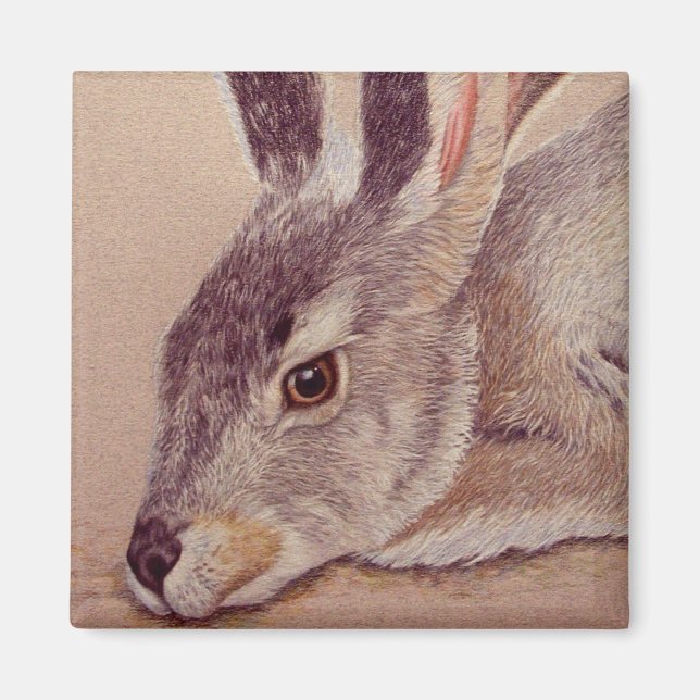 Imán Jackrabbit (Frente)