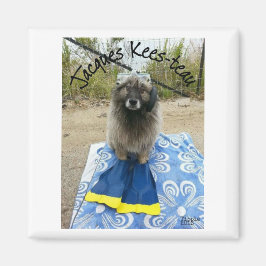 Imán Jacques Kees-teau