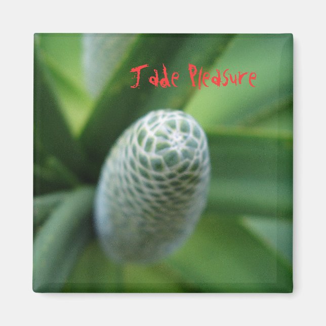 Imán Jade Pleasure (Frente)