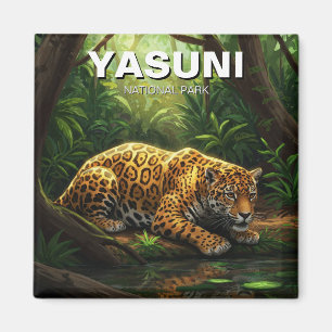 Imán Jaguar en el Parque Nacional Yasuní Ecuador