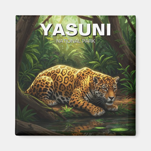 Imán Jaguar en el Parque Nacional Yasuní Ecuador (Frente)