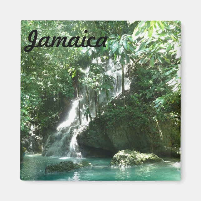Imán Jamaica Somerset Falls Foto Catarata (Frente)