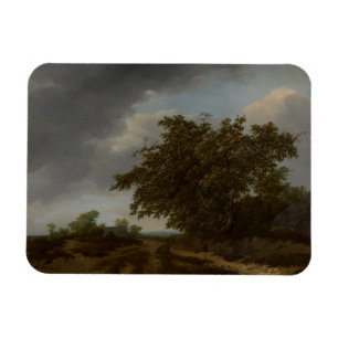 Imán Jan Vermeer, paisaje a orillas de las dunas