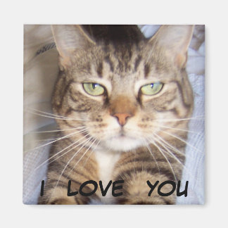 Imán Jane dice... TE AMO.