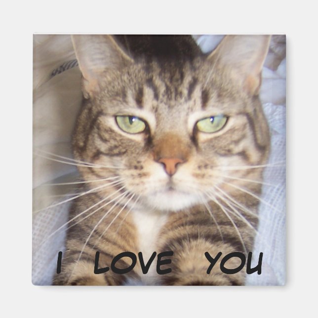 Imán Jane dice... TE AMO. (Frente)