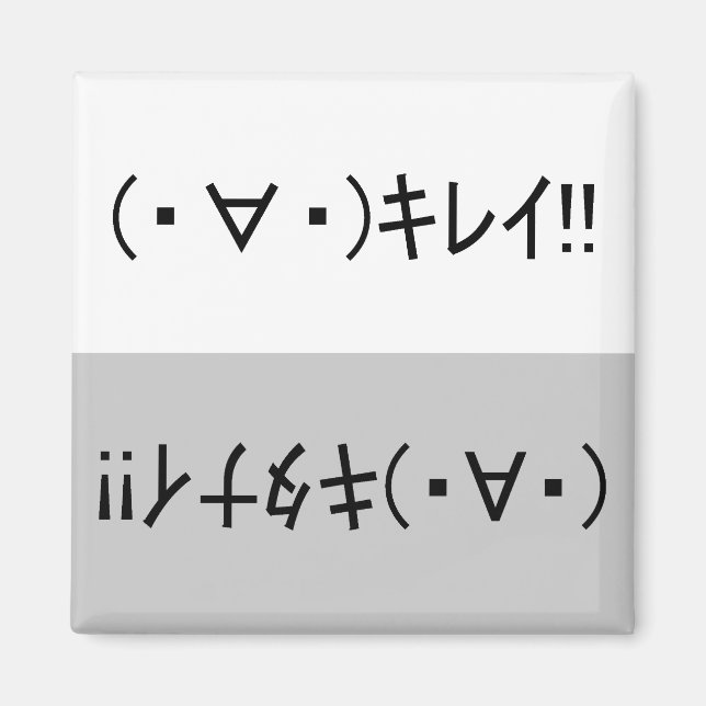 Imán Japanese ASCII Art「キレイ!」&「キタナイ!」dishwasher magnet (Frente)