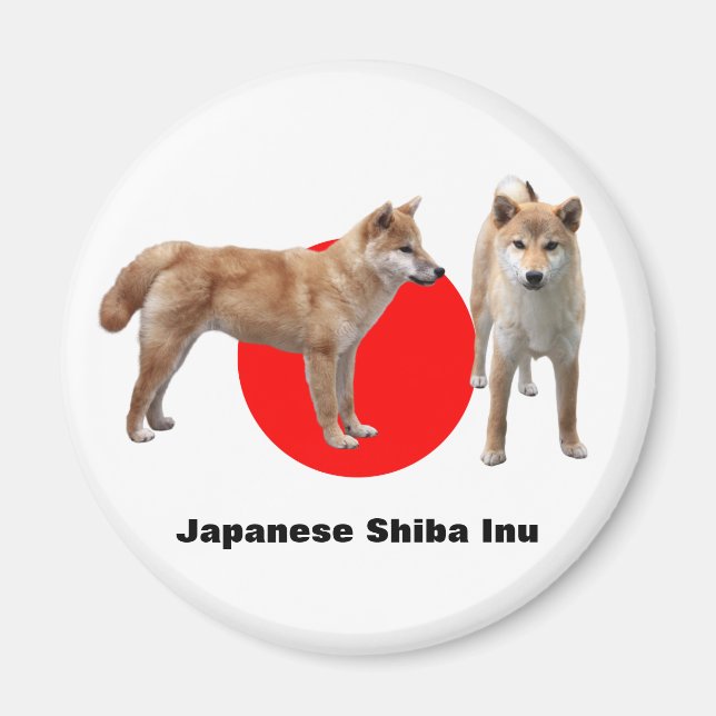 Imán Japanese Shiba Inu (Frente)