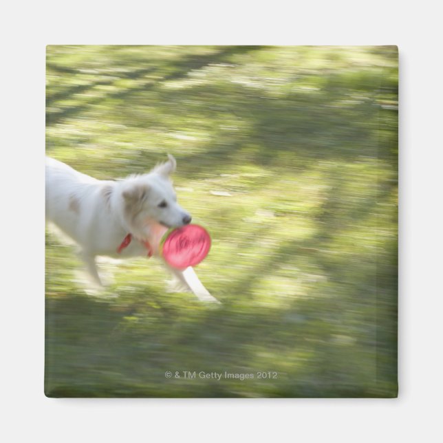 Imán Japón 2 (Frente)