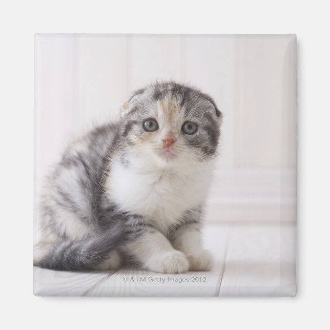 Imán Japón 5 (Frente)