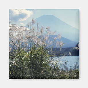 Imán Japón, Honshu, Pref. de Yamanashi, Fuji-Hakone-Izu