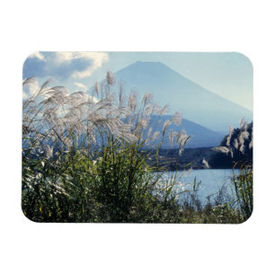 Imán Japón, Honshu, Pref. Yamanashi, Fuji-Hakone-Izu