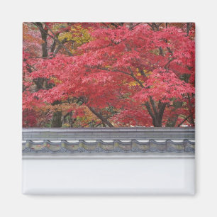 Imán Japón, Kioto, color de otoño en el templo Eikand