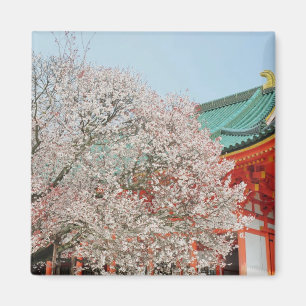 Imán Japón, Kyoto. Flor de cerezo de Shinto