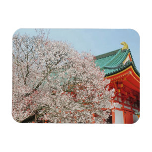 Imán Japón, Kyoto. Flor de cerezo de Shinto