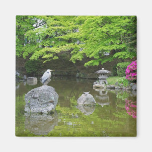 Imán Japón, Kyoto. Garza en hojas verdes frescas
