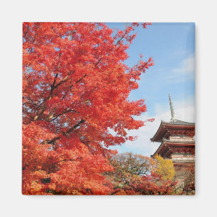 Imán Japón, Kyoto. Templo de Kiyomizu en color de otoño