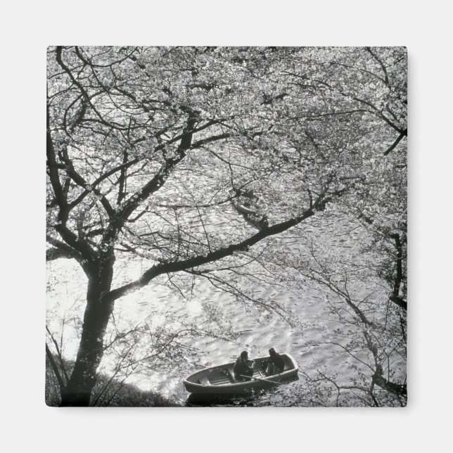 Imán Japón, Tokio. Flores de cerezo en el Imperial (Frente)