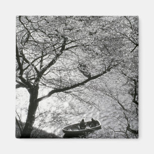 Imán Japón, Tokio. Flores de cerezo en el Imperio