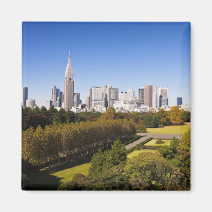 Imán Japón. Tokio. Panorama del distrito de Shinjuku y