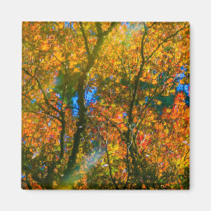 Imán Jardín Botánico VanDusen Vancouver, Canadá