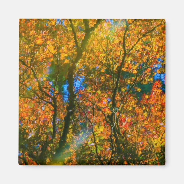 Imán Jardín Botánico VanDusen Vancouver, Canadá (Frente)