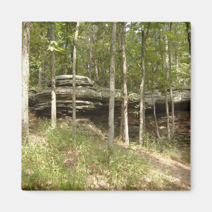 Imán Jardín de dioses - Illinois