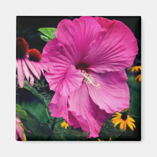 Imán Jardín de flores de Hibiscus y amigos 