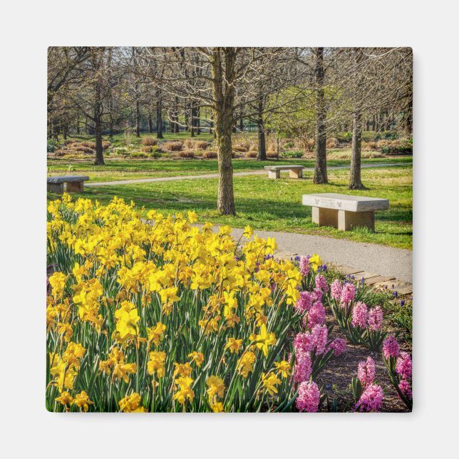 Imán Jardín de flores de la temporada de primavera (Frente)