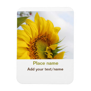 Imán jardín de girasoles amarillos añadir foto texto no