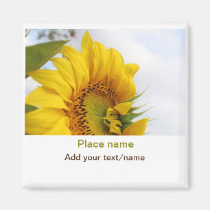 Imán jardín de girasoles amarillos añadir texto de foto