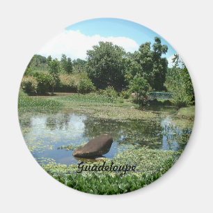 Imán Jardín de Guadalupe