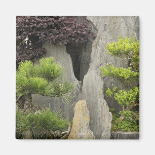 Imán Jardín de la familia Bao, Huangshan, China. 2