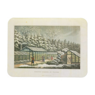 Imán Jardín de la fuerza en invierno, de fragmentos en