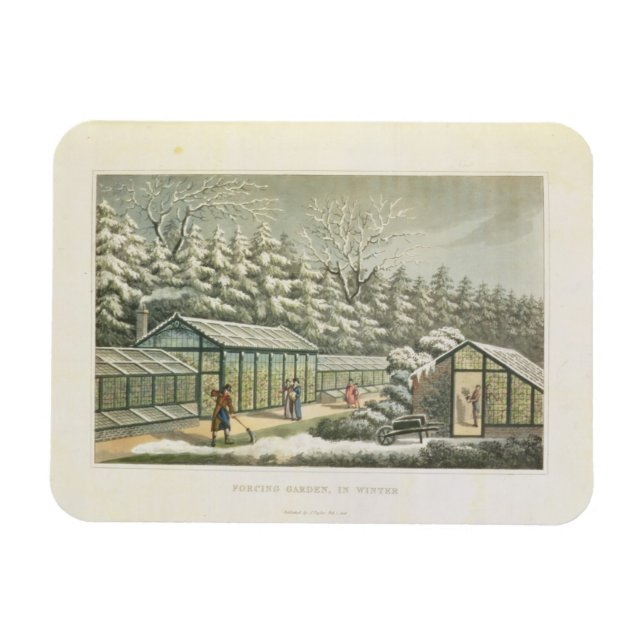 Imán Jardín de la fuerza en invierno, de fragmentos en  (Horizontal)