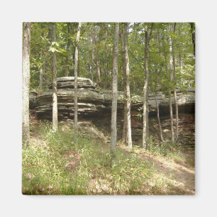 Imán Jardín de los Dioses - Illinois