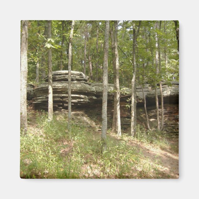 Imán Jardín de los Dioses - Illinois (Frente)