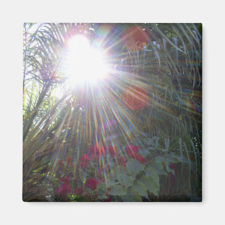 Imán Jardín de luz solar