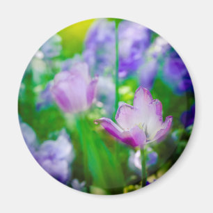 Imán Jardín de tulipanes, Giverny, Francia