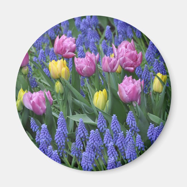 Imán Jardín de tulipanes y azules (Frente)