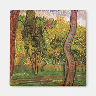 Imán Jardín del Hospital de Saint-Paul por Vincent van 