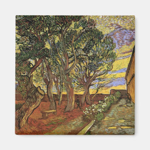Imán Jardín del Hospital de Saint-Paul por Vincent van 