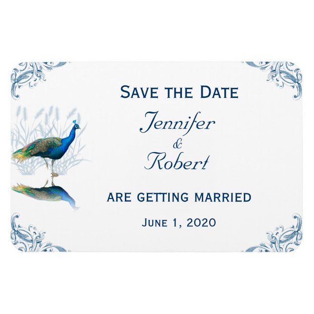 Imán Jardín del pavo real en azul y blanco salva la fec (Horizontal)