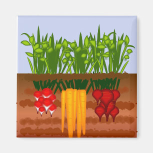 Imán Jardín del Veggie