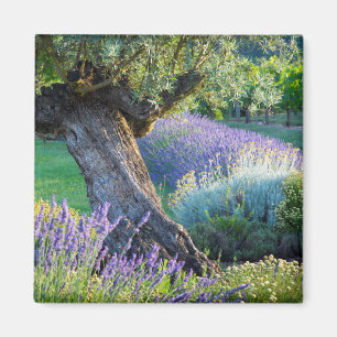 Imán Jardín escénico con flores, Francia