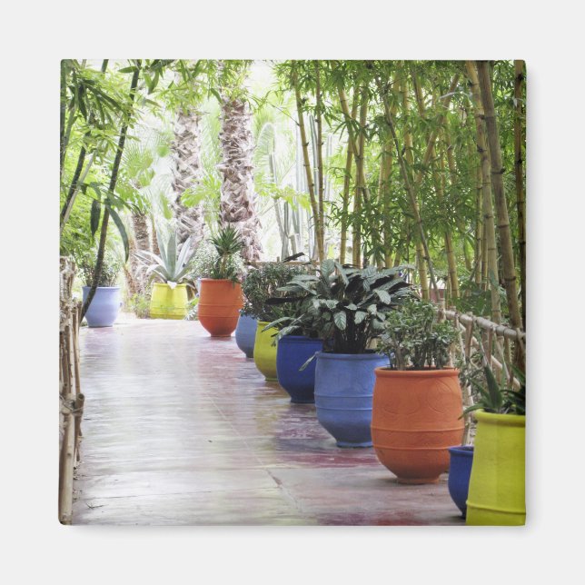 Imán Jardin Majorelle, Jardín Majorelle, ahora un espac (Frente)